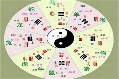 頴五行|柰字的五行属性